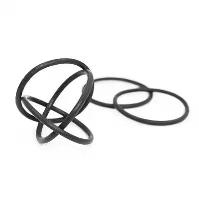 1095885 Gepolijste Tribo Gen II Poedercoating Pomp O-ringen Aangepaste OEM Ondersteuning